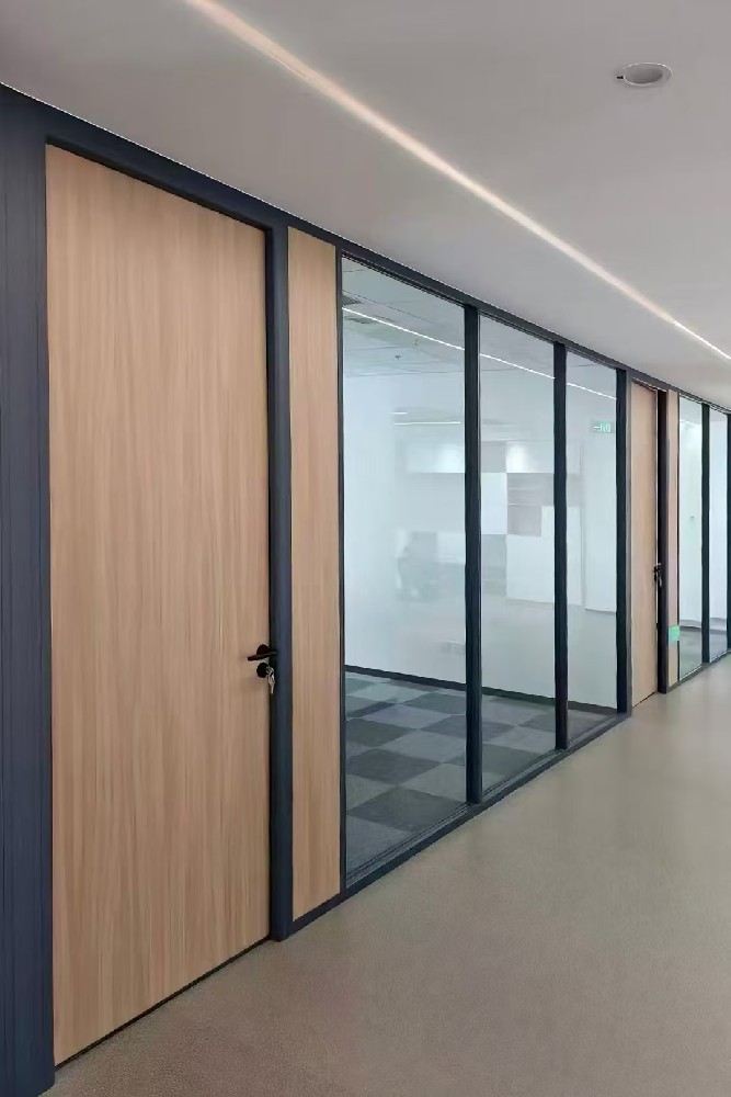 Single glass partition+ecological door too muchr